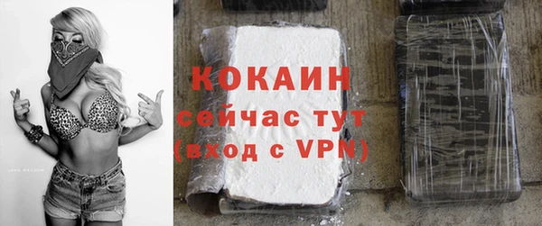 кокс Арсеньев