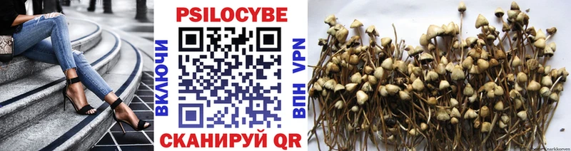 как найти закладки  omg маркетплейс  Галлюциногенные грибы Psilocybine cubensis  Сарапул 